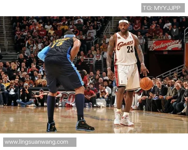 麦迪与詹姆斯职业生涯数据对比分析谁才是篮球历史的传奇巨星