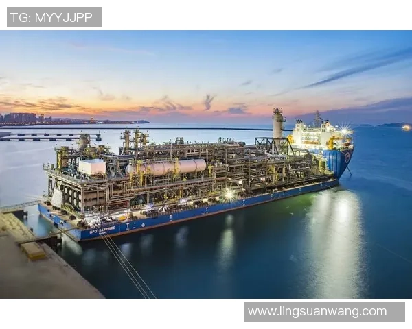 亚马尔地区资源开发与国际合作新机遇探讨