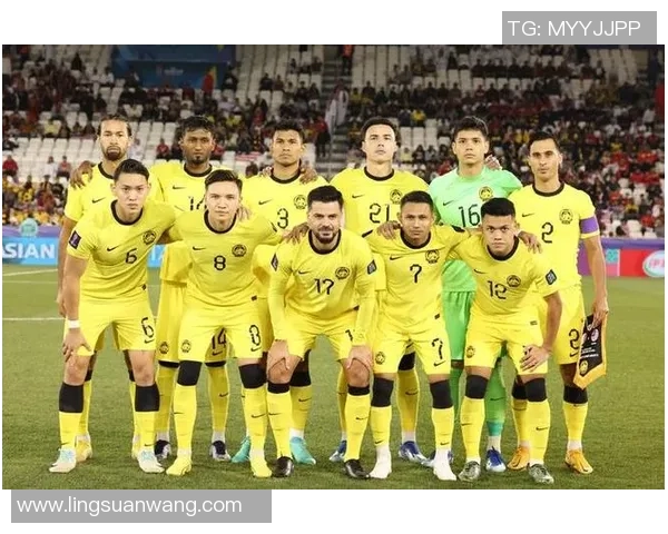 中国马来西亚足球对决分析两国球队实力与战术风格的深度剖析