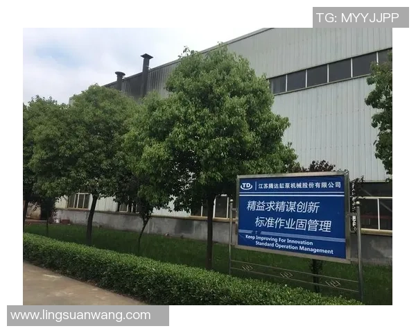 王汝恒：在科技创新浪潮中引领未来的年轻企业家之路