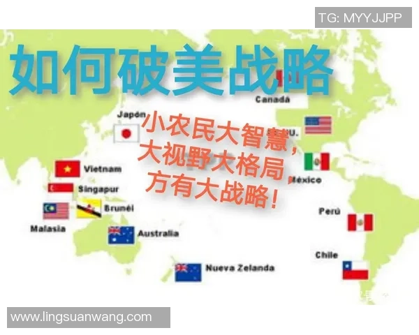 杭州攀岩队的进攻策略与训练揭秘深度解析攀岩运动的魅力与挑战MBA 杭州攀岩队的进攻策略与训练揭秘深度解析攀岩运动的魅力与挑战MBA