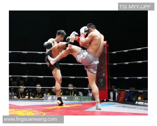 铁英华与丁宁巅峰对决乒乓球赛场上的激情与荣耀之战