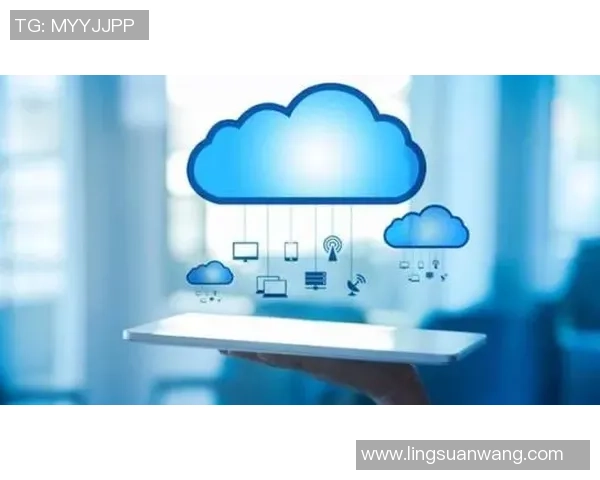 飞盘战术解析：深入探讨成都飞盘队的区域防守策略与实践MBA