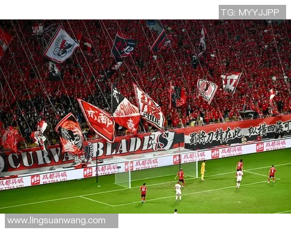 成都足球队近期状态分析与未来发展展望MBA