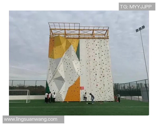 南京攀岩队荣获全国攀岩灵活性排行榜第三名展现出色实力与潜力