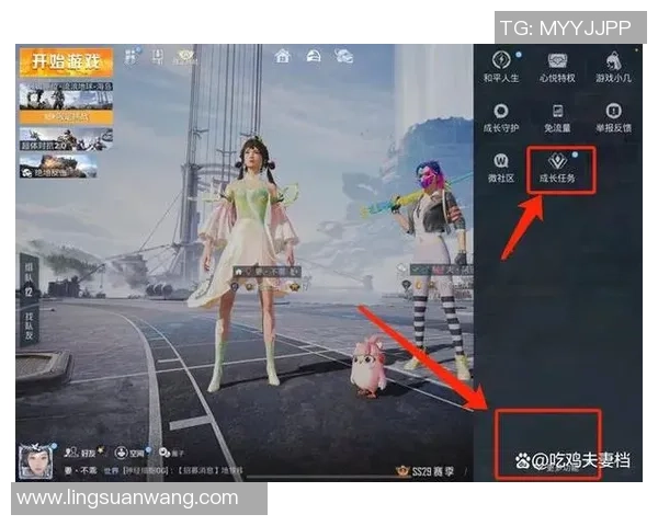 与杨丽对话：探索她在和平精英中的职业生涯与成长历程
