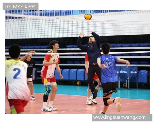 北京排球队创历史新高排球状态排名跃升至全国前列